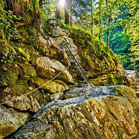 Oro - Vicino Cannobio 3*